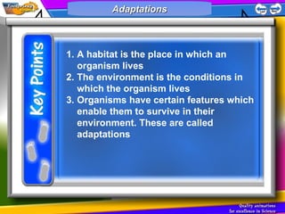 Adaptations



1. A habitat is the place in which an
   organism lives
2. The environment is the conditions in
   which the organism lives
3. Organisms have certain features which
   enable them to survive in their
   environment. These are called
   adaptations
 