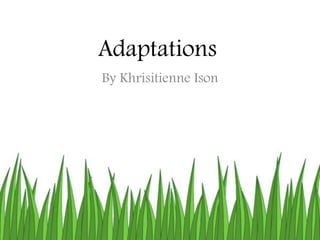 Adaptations
By Khrisitienne Ison
 