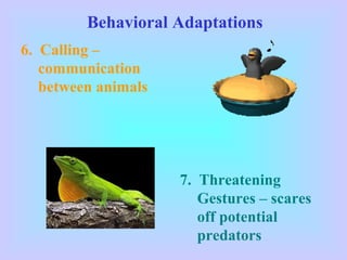 Behavioral Adaptations
6. Calling –
communication
between animals
7. Threatening
Gestures – scares
off potential
predators
 