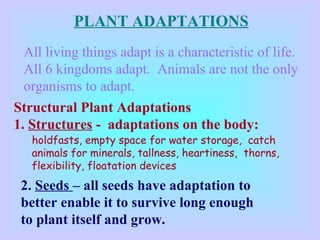 PLANT ADAPTATIONS
All living things adapt is a characteristic of life.
All 6 kingdoms adapt. Animals are not the only
organisms to adapt.
Structural Plant Adaptations
1. Structures - adaptations on the body:
2. Seeds – all seeds have adaptation to
better enable it to survive long enough
to plant itself and grow.
holdfasts, empty space for water storage, catch
animals for minerals, tallness, heartiness, thorns,
flexibility, floatation devices
 