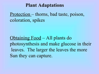 Plant Adaptations
Protection – thorns, bad taste, poison,
coloration, spikes
Obtaining Food – All plants do
photosynthesis and make glucose in their
leaves. The larger the leaves the more
Sun they can capture.
 
