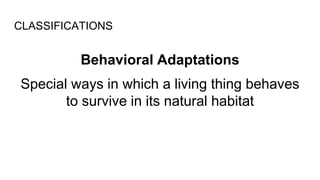 ADAPTATIONS Primary 6.pptx
