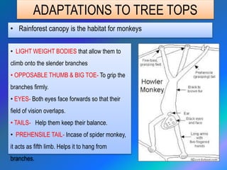 ADAPTATIONS TO A HABITAT.pptx