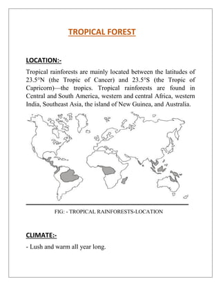TROPICAL FOREST
LOCATION:-
Tropical rainforests are mainly located between the latitudes of
23.5°N (the Tropic of Cancer) and 23.5°S (the Tropic of
Capricorn)—the tropics. Tropical rainforests are found in
Central and South America, western and central Africa, western
India, Southeast Asia, the island of New Guinea, and Australia.
FIG: - TROPICAL RAINFORESTS-LOCATION
CLIMATE:-
- Lush and warm all year long.
 