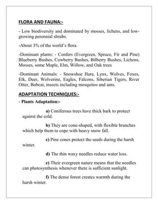 FLORA AND FAUNA:-
- Low biodiversity and dominated by mosses, lichens, and low-
growing perennial shrubs.
-About 3% of the world’s flora.
-Dominant plants: - Confers (Evergreen, Spruce, Fir and Pine)
Blueberry Bushes, Cowberry Bushes, Bilberry Bushes, Lichens,
Mosses, some Maple, Elm, Willow, and Oak trees
-Dominant Animals: - Snowshoe Hare, Lynx, Wolves, Foxes,
Elk, Deer, Wolverine, Eagles, Falcons, Siberian Tigers, River
Otter, Bobcat, insects including mosquitos and ants.
ADAPTATION TECHNIQUES:-
- Plants Adaptation:-
a) Coniferous trees have thick bark to protect
against the cold.
b) They are cone-shaped, with flexible branches
which help them to cope with heavy snow fall.
c) Pine cones protect the seeds during the harsh
winter.
d) The thin waxy needles reduce water loss.
e) Their evergreen nature means that the needles
can photosynthesis whenever there is sufficient sunlight.
f) The dense forest creates warmth during the
harsh winter.
 