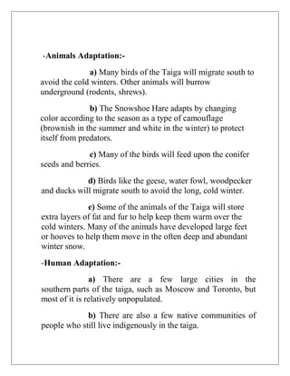 -Animals Adaptation:-
a) Many birds of the Taiga will migrate south to
avoid the cold winters. Other animals will burrow
underground (rodents, shrews).
b) The Snowshoe Hare adapts by changing
color according to the season as a type of camouflage
(brownish in the summer and white in the winter) to protect
itself from predators.
c) Many of the birds will feed upon the conifer
seeds and berries.
d) Birds like the geese, water fowl, woodpecker
and ducks will migrate south to avoid the long, cold winter.
e) Some of the animals of the Taiga will store
extra layers of fat and fur to help keep them warm over the
cold winters. Many of the animals have developed large feet
or hooves to help them move in the often deep and abundant
winter snow.
-Human Adaptation:-
a) There are a few large cities in the
southern parts of the taiga, such as Moscow and Toronto, but
most of it is relatively unpopulated.
b) There are also a few native communities of
people who still live indigenously in the taiga.
 