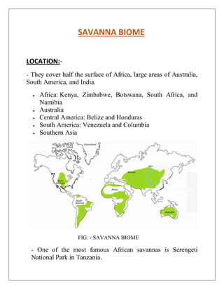 SAVANNA BIOME
LOCATION:-
- They cover half the surface of Africa, large areas of Australia,
South America, and India.
 Africa: Kenya, Zimbabwe, Botswana, South Africa, and
Namibia
 Australia
 Central America: Belize and Honduras
 South America: Venezuela and Columbia
 Southern Asia
FIG: - SAVANNA BIOME
- One of the most famous African savannas is Serengeti
National Park in Tanzania.
 