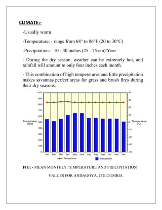 CLIMATE:-
-Usually warm
-Temperature: - range from 68° to 86°F (20 to 30°C)
-Precipitation: - 10 - 30 inches (25 - 75 cm)/Year
- During the dry season, weather can be extremely hot, and
rainfall will amount to only four inches each month.
- This combination of high temperatures and little precipitation
makes savannas perfect areas for grass and brush fires during
their dry seasons.
FIG: - MEAN MONTHLY TEMPERATURE AND PRECIPITATION
VALUES FOR ANDAGOYA, COLOUMBIA
 