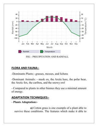 FIG: - PRECIPITATION AND RAINFALL
FLORA AND FAUNA:-
-Dominants Plants:- grasses, mosses, and lichens
-Dominant Animals: - musk ox, the Arctic hare, the polar bear,
the Arctic fox, the caribou, and the snowy owl
- Compared to plants in other biomes they use a minimal amount
of energy.
ADAPTATION TECHNIQUES:-
- Plants Adaptation:-
a) Cotton grass is one example of a plant able to
survive these conditions. The features which make it able to
 