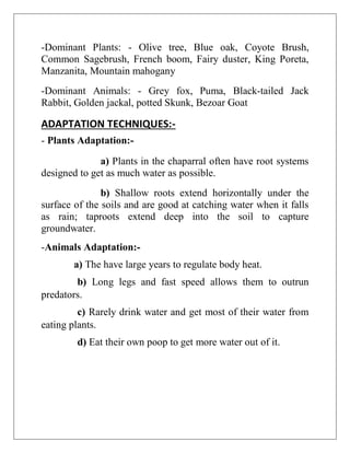 -Dominant Plants: - Olive tree, Blue oak, Coyote Brush,
Common Sagebrush, French boom, Fairy duster, King Poreta,
Manzanita, Mountain mahogany
-Dominant Animals: - Grey fox, Puma, Black-tailed Jack
Rabbit, Golden jackal, potted Skunk, Bezoar Goat
ADAPTATION TECHNIQUES:-
- Plants Adaptation:-
a) Plants in the chaparral often have root systems
designed to get as much water as possible.
b) Shallow roots extend horizontally under the
surface of the soils and are good at catching water when it falls
as rain; taproots extend deep into the soil to capture
groundwater.
-Animals Adaptation:-
a) The have large years to regulate body heat.
b) Long legs and fast speed allows them to outrun
predators.
c) Rarely drink water and get most of their water from
eating plants.
d) Eat their own poop to get more water out of it.
 