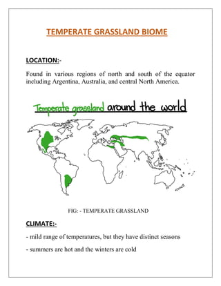 TEMPERATE GRASSLAND BIOME
LOCATION:-
Found in various regions of north and south of the equator
including Argentina, Australia, and central North America.
FIG: - TEMPERATE GRASSLAND
CLIMATE:-
- mild range of temperatures, but they have distinct seasons
- summers are hot and the winters are cold
 