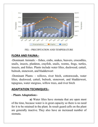 FIG: - PRECIPITATION AND TEMPERATURE
FLORA AND FAUNA:-
-Dominant Animals: - fishes, crabs, snakes, beavers, crocodiles,
snails, insects, plankton, crayfish, snails, worms, frogs, turtles,
insects, and fishes. Plants include water lilies, duckweed, cattail,
bulrush, stonewort, and bladderwort
-Dominant Plants: - willows, river birch, cottonwoods, water
lilies, duckweed, cattail, bulrush, stonewort, and bladderwort,
tapegrass, water stargrass, willow trees, and river birch
ADAPTATION TECHNIQUES:-
- Plants Adaptation:-
a) Water lilies have stomata that are open most
of the time, because water is in great capacity so there is no need
for it to be retained in the plant. In result guard cells on the plant
are generally inactive. They also have an increased number of
stomata.
 