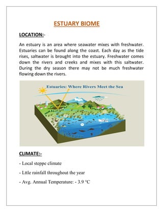 ESTUARY BIOME
LOCATION:-
An estuary is an area where seawater mixes with freshwater.
Estuaries can be found along the coast. Each day as the tide
rises, saltwater is brought into the estuary. Freshwater comes
down the rivers and creeks and mixes with this saltwater.
During the dry season there may not be much freshwater
flowing down the rivers.
CLIMATE:-
- Local steppe climate
- Lttle rainfall throughout the year
- Avg. Annual Temperature: - 3.9 °C
 