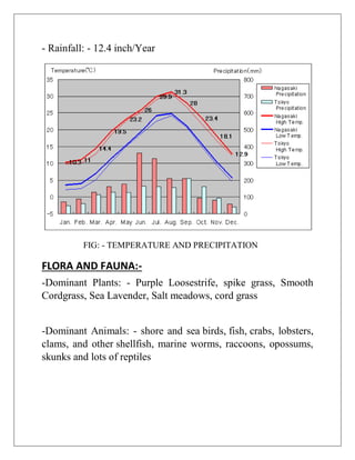 - Rainfall: - 12.4 inch/Year
FIG: - TEMPERATURE AND PRECIPITATION
FLORA AND FAUNA:-
-Dominant Plants: - Purple Loosestrife, spike grass, Smooth
Cordgrass, Sea Lavender, Salt meadows, cord grass
-Dominant Animals: - shore and sea birds, fish, crabs, lobsters,
clams, and other shellfish, marine worms, raccoons, opossums,
skunks and lots of reptiles
 