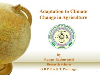 Adaptation to Climate
Change in Agriculture
By-
Rupan Raghuvanshi
Research Scholar
G.B.P.U.A & T, Pantnagar
1Company Logo
 