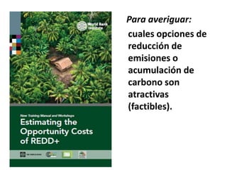 Adaptation to climate change and mitigation of greenhouse gas emissions through tropical forages