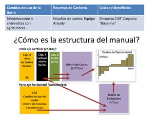 Adaptation to climate change and mitigation of greenhouse gas emissions through tropical forages