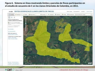 Adaptation to climate change and mitigation of greenhouse gas emissions through tropical forages