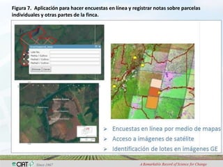 Adaptation to climate change and mitigation of greenhouse gas emissions through tropical forages