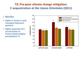 Adaptation to climate change and mitigation of greenhouse gas emissions through tropical forages