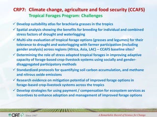 Adaptation to climate change and mitigation of greenhouse gas emissions through tropical forages