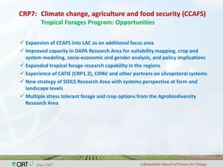 Adaptation to climate change and mitigation of greenhouse gas emissions through tropical forages