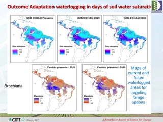Adaptation to climate change and mitigation of greenhouse gas emissions through tropical forages