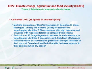 Adaptation to climate change and mitigation of greenhouse gas emissions through tropical forages