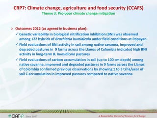 Adaptation to climate change and mitigation of greenhouse gas emissions through tropical forages