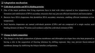 Adaptation mechanism to cold stress.pptx