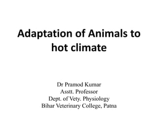 Adaptation of Animals to
hot climate
Dr Pramod Kumar
Asstt. Professor
Dept. of Vety. Physiology
Bihar Veterinary College, Patna
 