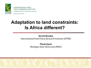 1
Adaptation to land constraints:
Is Africa different?
Derek Headey
International Food Policy Research Institute (IFPRI)
Thom Jayne
Michigan State University (MSU)
 