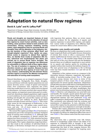 Review                          TRENDS in Ecology and Evolution           Vol.19 No.2 February 2004




Adaptation to natural ﬂow regimes
David A. Lytle1 and N. LeRoy Poff 2
1
    Department of Zoology, Oregon State University, Corvallis, OR 97331, USA
2
    Department of Biology, Colorado State University, Fort Collins, CO 80523, USA



Floods and droughts are important features of most                                            with long-term ﬂow patterns. Here, we review recent
running water ecosystems, but the alteration of natural                                       empirical evidence for the adaptation of aquatic and
ﬂow regimes by recent human activities, such as dam                                           riparian organisms to natural ﬂow regimes, and explore
building, raises questions related to both evolution and                                      how various modes of adaptation have differing impli-
conservation. Among organisms inhabiting running                                              cations for conservation efforts in ﬂow-altered rivers.
waters, what adaptations exist for surviving ﬂoods and
droughts? How will the alteration of the frequency, tim-                                      Adaptation: costs, beneﬁts and tradeoffs
ing and duration of ﬂow extremes affect ﬂood- and                                             We focus on adaptations that enable organisms to survive
drought-adapted organisms? How rapidly can popu-                                              larger magnitude ﬂoods and droughts because elimination
lations evolve in response to altered ﬂow regimes?                                            of extreme ﬂow events is often a consequence of ﬂow
Here, we identify three modes of adaptation (life his-                                        regime modiﬁcation by humans and, thus, a conservation
tory, behavioral and morphological) that plants and                                           concern (Figure 1). We consider larger ﬂoods to be those
animals use to survive ﬂoods and/or droughts. The                                             that spill out of the river channel and onto the ﬂoodplain
mode of adaptation that an organism has determines                                            because these are of sufﬁcient magnitude to exert mortal-
its vulnerability to different kinds of ﬂow regime altera-                                    ity on aquatic and riparian species by reworking geo-
tion. The rate of evolution in response to ﬂow regime                                         morphic surfaces that constitute the habitats of species [6].
alteration remains an open question. Because humans                                           The more general issue of adaptation to life in ﬂowing
have now altered the ﬂow regimes of most rivers and                                           water has been treated elsewhere [7,8] and will not be
many streams, understanding the link between ﬁtness                                           covered here.
and ﬂow regime is crucial for the effective management                                           Adaptation to ﬂow regimes occurs as a response to the
and restoration of running water ecosystems.                                                  interaction between frequency, magnitude and predict-
                                                                                              ability of mortality-causing events (Box 3). The great
Natural disturbances are an integral component of most                                        variation among streams and rivers in terms of the
intact ecosystems. Ecologically, ﬁres, ﬂoods, droughts,                                       temporal pattern of these events (Box 2) also presents
storms and disease outbreaks regulate population size and                                     opportunities for stream-speciﬁc adaptation. Adaptations
species diversity across a range of spatial and temporal                                      include behaviors that enable ﬁsh to avoid displacement by
scales. Over evolutionary time, organisms also evolve                                         ﬂoods, insect life-history strategies that are synchronized
traits that enable them to survive, exploit and even depend                                   to avoid annual droughts, and plant morphologies that
on disturbances. As human activities alter natural distur-                                    protect roots by jettisoning seasonal biomass during ﬂoods
bance regimes, an important conservation goal is to under-                                    (Table 1). However, such adaptations can carry both costs
stand how disturbance-adapted populations might respond                                       and beneﬁts. For example, aquatic plants that grow large
to novel conditions. In rivers and streams, historic cycles of                                roots to provide anchorage during ﬂoods might sacriﬁce
ﬂooding and drought (the natural ﬂow regime) are being                                        aboveground biomass and seed production [9,10] and
altered severely and suddenly by dams, ﬂood-control                                           suffer a competitive disadvantage in the absence of ﬂoods.
projects and other human activities (Figure 1). This raises                                   This cost:beneﬁt ratio inﬂuences both the evolution and
many issues for the management of biodiversity; in the                                        maintenance of adaptations. In turn, alteration of the
USA alone, there are , 2.5 million water control struc-                                       natural ﬂow regime has the potential to shift this balance,
tures, and only , 2% of rivers remain in a natural,                                           causing the costs of an adaptation to outweigh its beneﬁts.
unmodiﬁed condition [1] (Box 1).                                                                 Putative ﬂow regime adaptations have been identiﬁed
   The natural ﬂow regime paradigm (Box 2) has become a                                       and studied in many different ways and, for this reason,
fundamental part of the management and basic biological                                       the strength of evidence for adaptation differs from case to
study of running water ecosystems [2– 4]. Although some                                       case (Table 1). The evidence comes from four main sources.
of the ecological consequences of altered natural ﬂow
regimes have been reviewed [3,5], little attention has been                                   Observations
paid to how organisms have evolved in response to ﬂoods                                       The observation that a particular trait (life history,
and droughts. Flow regime adaptations range from behav-                                       behavior or morphology) might enhance the ability of an
iors that result in the avoidance of individual ﬂoods or                                      organism to withstand ﬂood or drought is the most
droughts, to life-history strategies that are synchronized                                    common, and also the weakest, form of evidence. Although
                                                                                              documenting this kind of close mapping between ﬂow
      Corresponding author: David A. Lytle (david.lytle@science.oregonstate.edu).             regime and phenotype is important for inspiring more
www.sciencedirect.com 0169-5347/$ - see front matter q 2003 Elsevier Ltd. All rights reserved. doi:10.1016/j.tree.2003.10.002
 