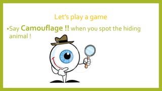 Let’s play a game
•Say Camouflage !! when you spot the hiding
animal !
 