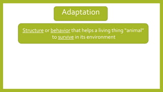 Adaptation
Structure or behavior that helps a living thing “animal”
to survive in its environment
 