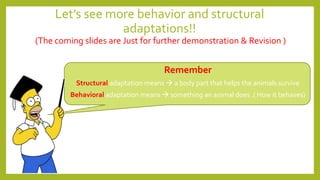 Let’s see more behavior and structural
adaptations!!
(The coming slides are Just for further demonstration & Revision )
Remember
Structural adaptation means  a body part that helps the animals survive
Behavioral adaptation means  something an animal does .( How it behaves)
 