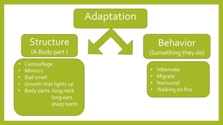 Adaptation
Structure
(A Body part )
Behavior
(Something they do)
• Camouflage
• Mimicry
• Bad smell
• Growth that lights up
• Body parts: long neck
long ears
sharp teeth
• Hibernate
• Migrate
• Nocturnal
• Walking on fins
 