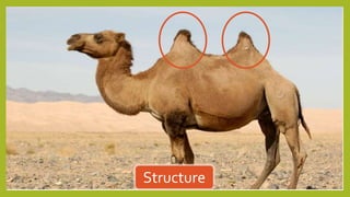 Structure
 