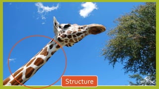 Structure
 
