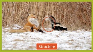 Structure
 