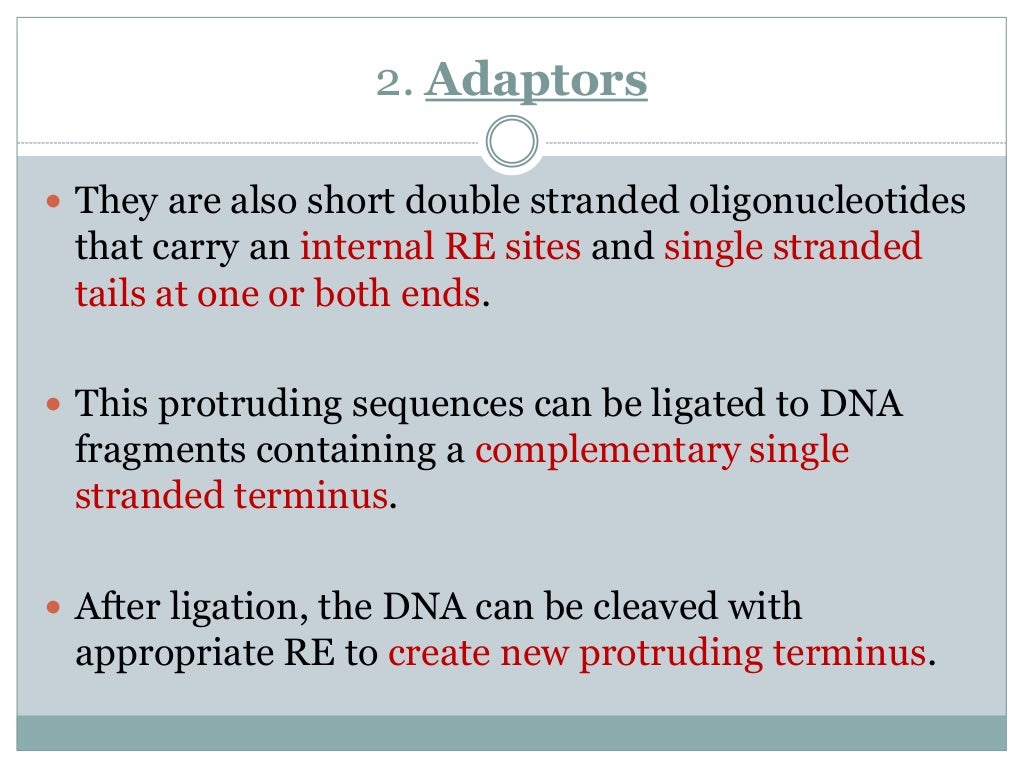 Linker, Adaptor, Homopolymeric Tailing & Terminal Transferase