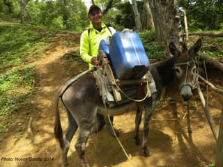 Climate change, 'technology' and gender: "Adapting women" to climate change with cooking stoves and water reservoirs in rural Nicaragua