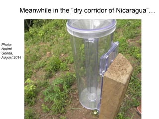 Climate change, 'technology' and gender: "Adapting women" to climate change with cooking stoves and water reservoirs in rural Nicaragua
