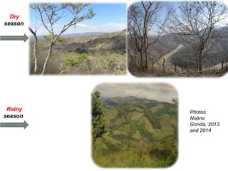 Climate change, 'technology' and gender: "Adapting women" to climate change with cooking stoves and water reservoirs in rural Nicaragua