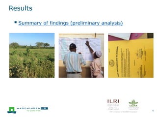 Learning from multistakeholder processes on catalysing pro-poor smallholder dairy value chain development in Tanzania