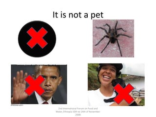 It is not a pet2nd International Forum on Food and Water, Ethiopia 10th to 14th of November 2008