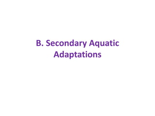 B. Secondary Aquatic
Adaptations
 