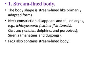 • 1. Stream-lined body.
• The body shape is stream-lined like primarily
adapted forms
• Neck constriction disappears and tail enlarges,
e.g., Ichthyosauria (extinct fish-lizards),
Cetacea (whales, dolphins, and porpoises),
Sirenia (manatees and dugongs).
• Frog also contains stream-lined body.
 