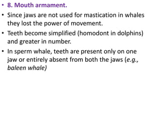 • 8. Mouth armament.
• Since jaws are not used for mastication in whales
they lost the power of movement.
• Teeth become simplified (homodont in dolphins)
and greater in number.
• In sperm whale, teeth are present only on one
jaw or entirely absent from both the jaws (e.g.,
baleen whale)
 
