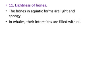• 11. Lightness of bones.
• The bones in aquatic forms are light and
spongy.
• In whales, their interstices are filled with oil.
 